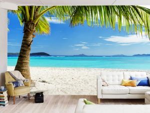 Plaža Bahama sa palmom — tapeta priroda