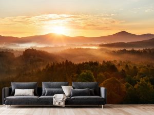 Zalazak sunca nad šumom — tapeta priroda