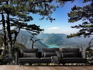 Pogled Kroz Borove Na Planinsku Dolinu — tapeta priroda